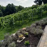Casavitis Erholung Am Weinberg Apartament Lontzen