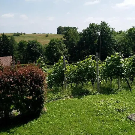 Casavitis Erholung Am Weinberg Lontzen