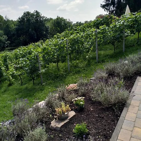 Casavitis Erholung Am Weinberg Appartement Lontzen